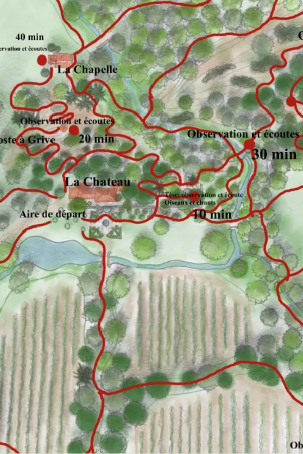 Bibliothèque Vivante : une étude et un projet