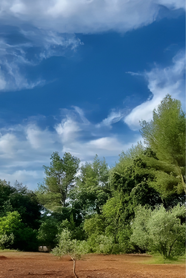 Bastide Emblématique à Aix
