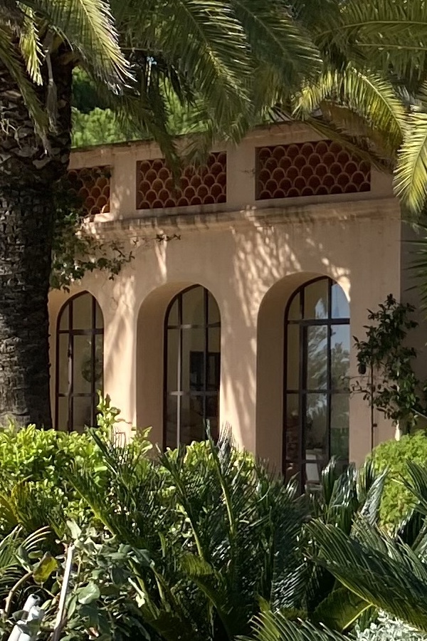Une palmeraie a Saint Tropez